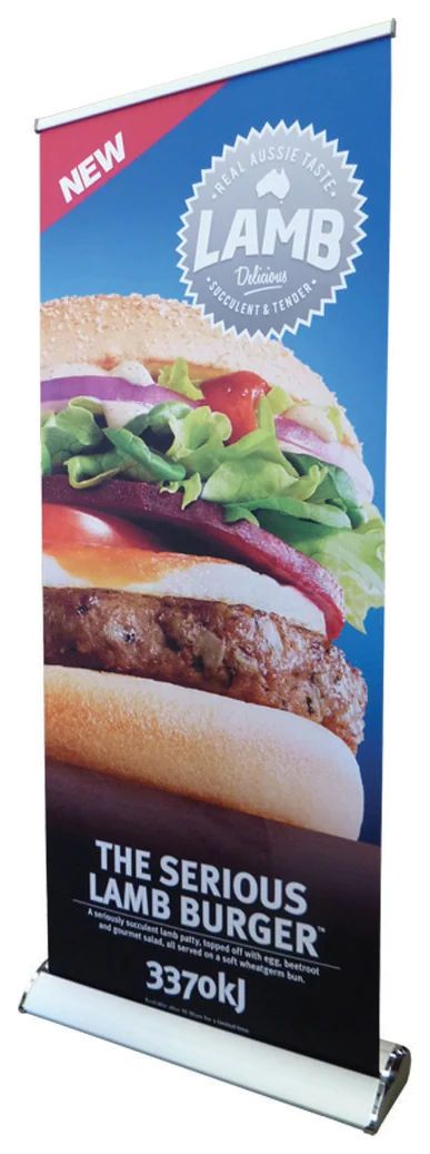 Pull-up display banner
